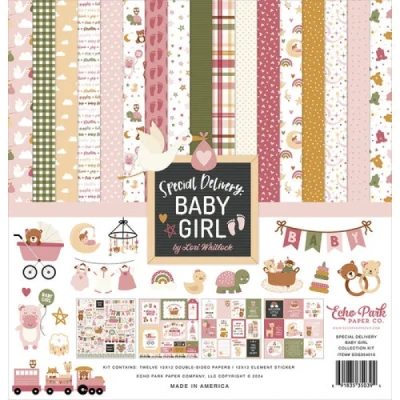 Kit Bloco de Papéis para Scrapbook 30x30 - Coleção Special Delivery  Baby Girl  - Echo Park